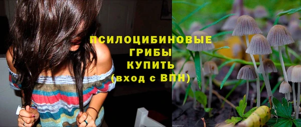 гидропоника Аркадак