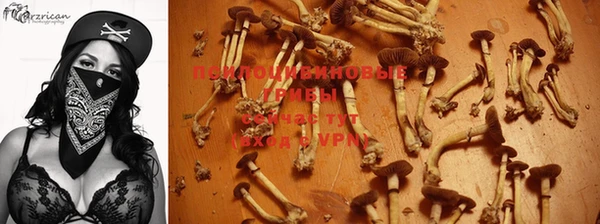 дмт Арсеньев