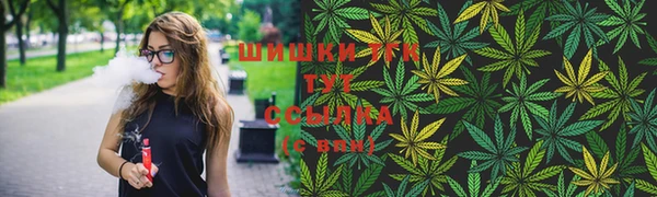 дмт Арсеньев