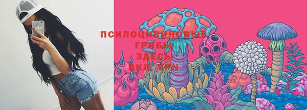 дмт Арсеньев