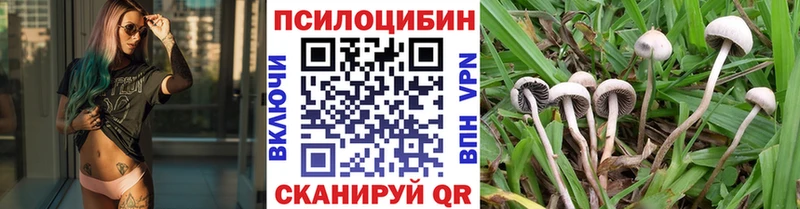 Псилоцибиновые грибы ЛСД  дарнет шоп  Куса 