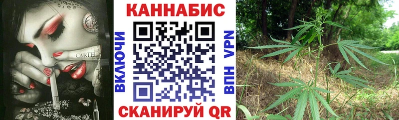Бошки Шишки планчик  Куса 